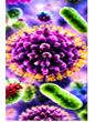 Respiratory Infections